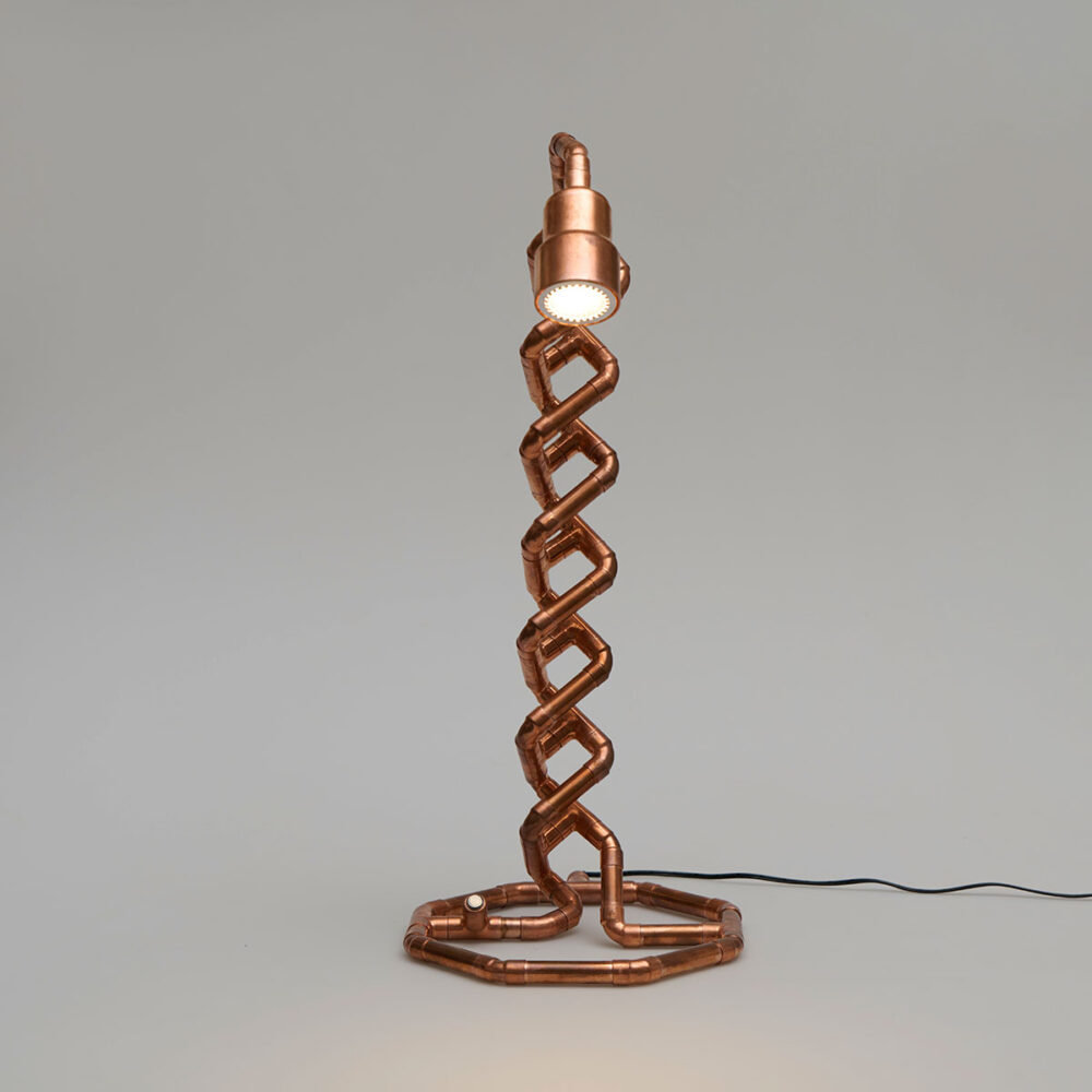 DNA 12V lamp - Image 2