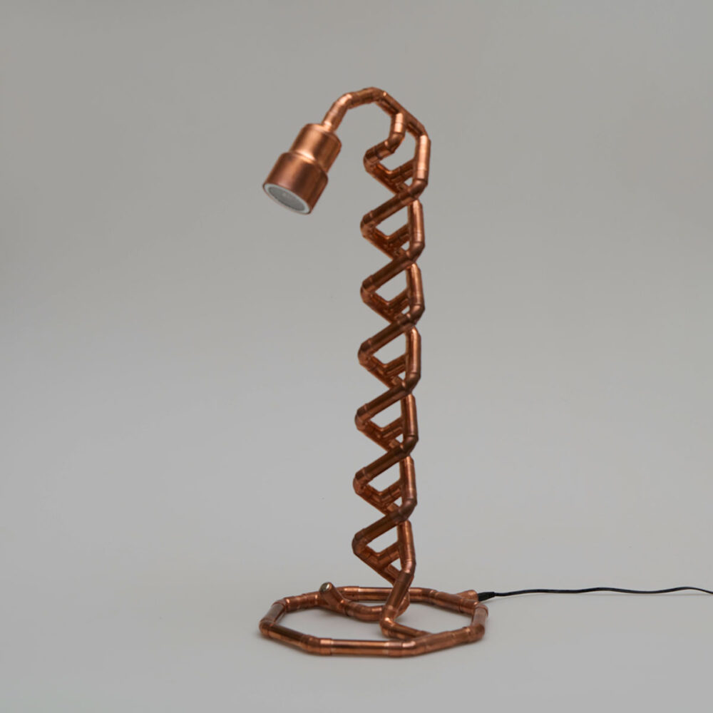 DNA 12V lamp - Image 3