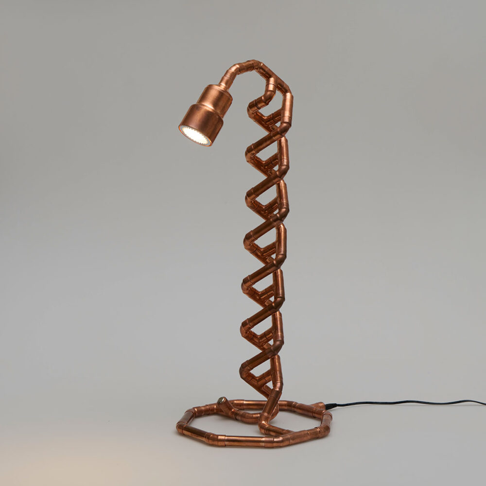 DNA 12V lamp - Image 4